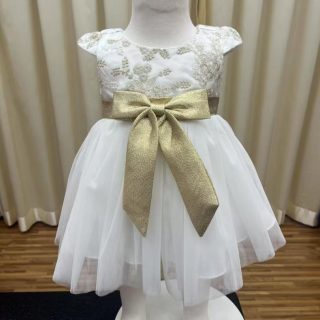 Children’s Princess Dress 2-8 Years Baby Girl Casual Wear | chd36